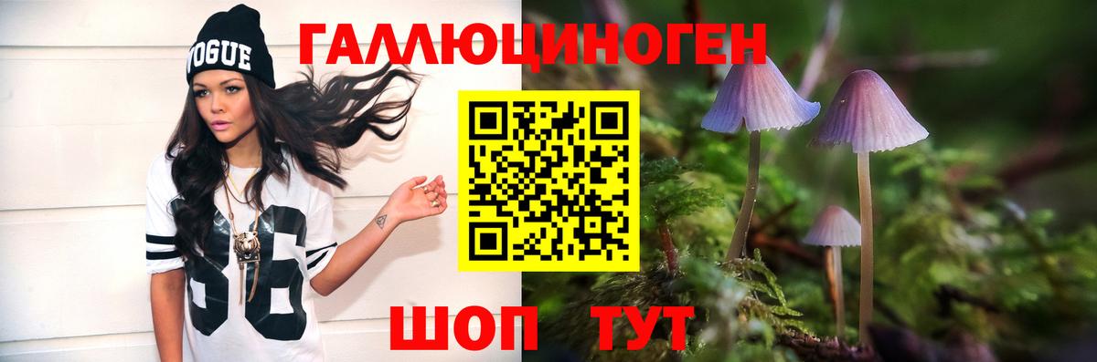 Галлюциногенные грибы GOLDEN TEACHER Керчь